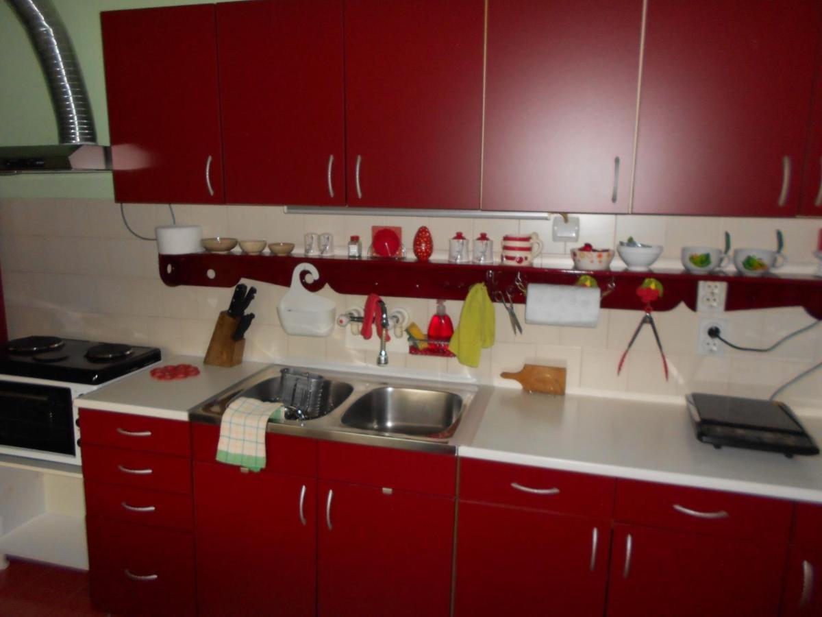 Apartman "Dom Stankovica" Pirot Buitenkant foto