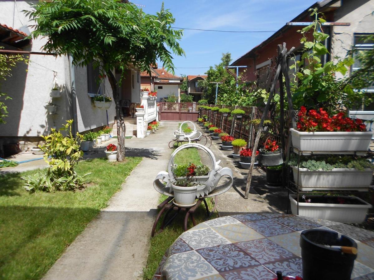 Apartman "Dom Stankovica" Pirot Buitenkant foto