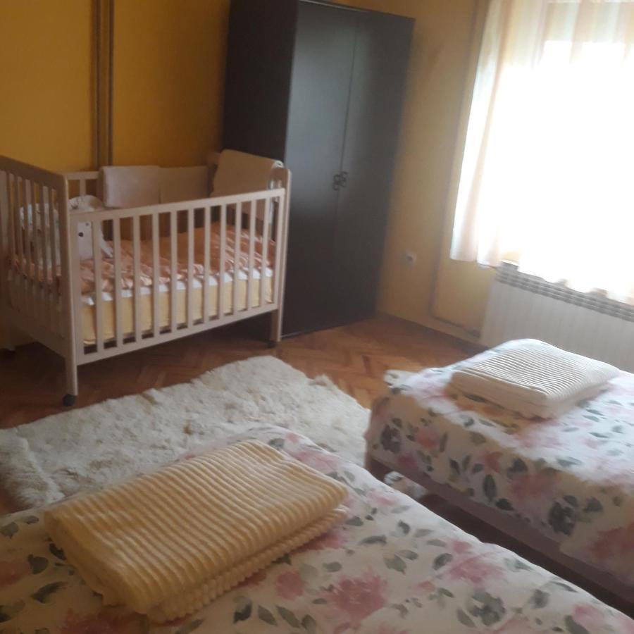 Apartman "Dom Stankovica" Appartement Pirot Buitenkant foto