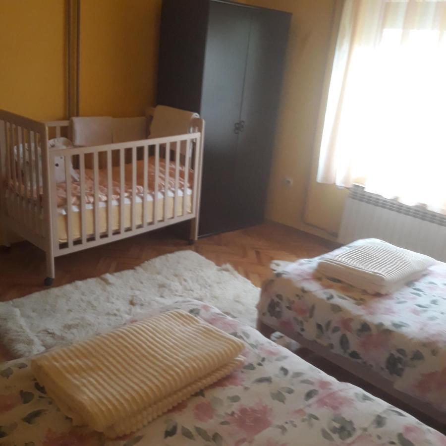 Apartman "Dom Stankovica" Pirot Buitenkant foto
