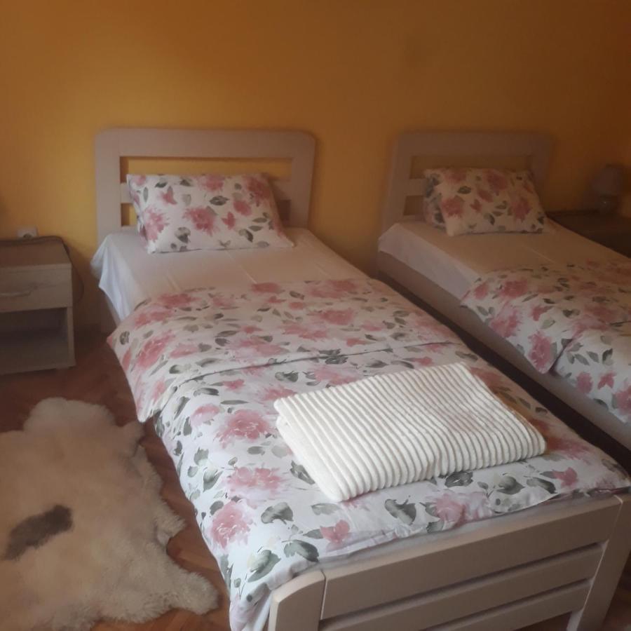 Apartman "Dom Stankovica" Pirot Buitenkant foto
