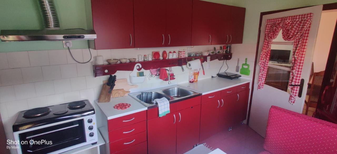 Apartman "Dom Stankovica" Pirot Buitenkant foto