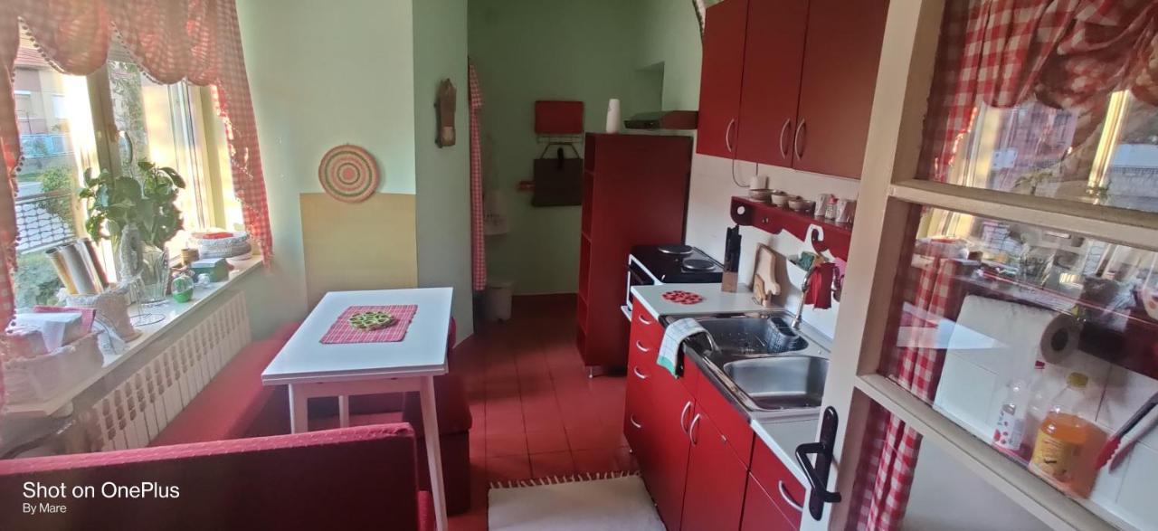 Apartman "Dom Stankovica" Appartement Pirot Buitenkant foto