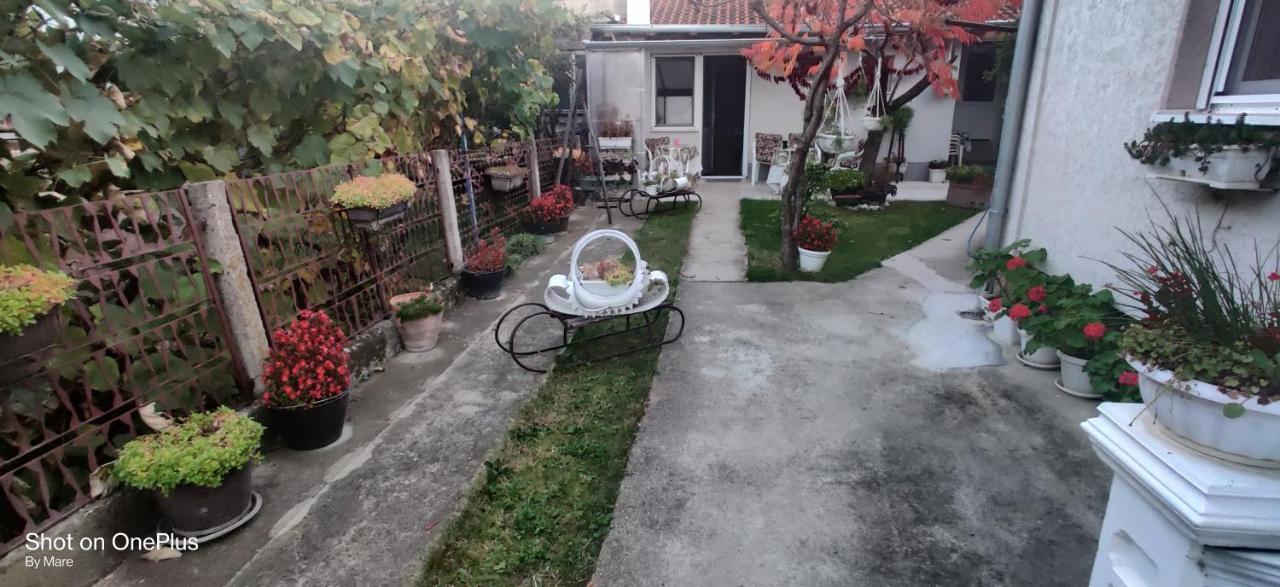 Apartman "Dom Stankovica" Pirot Buitenkant foto