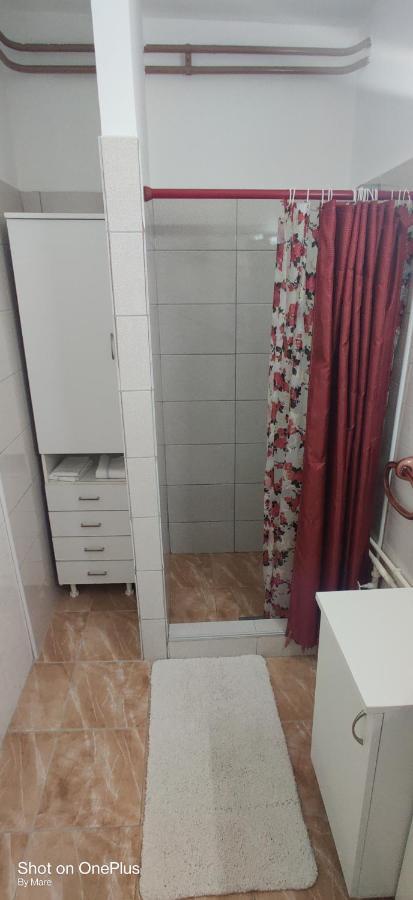 Apartman "Dom Stankovica" Appartement Pirot Buitenkant foto