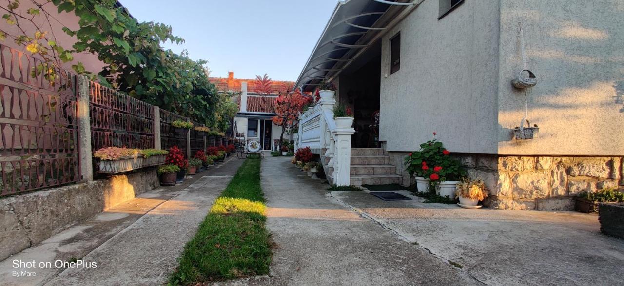 Apartman "Dom Stankovica" Pirot Buitenkant foto